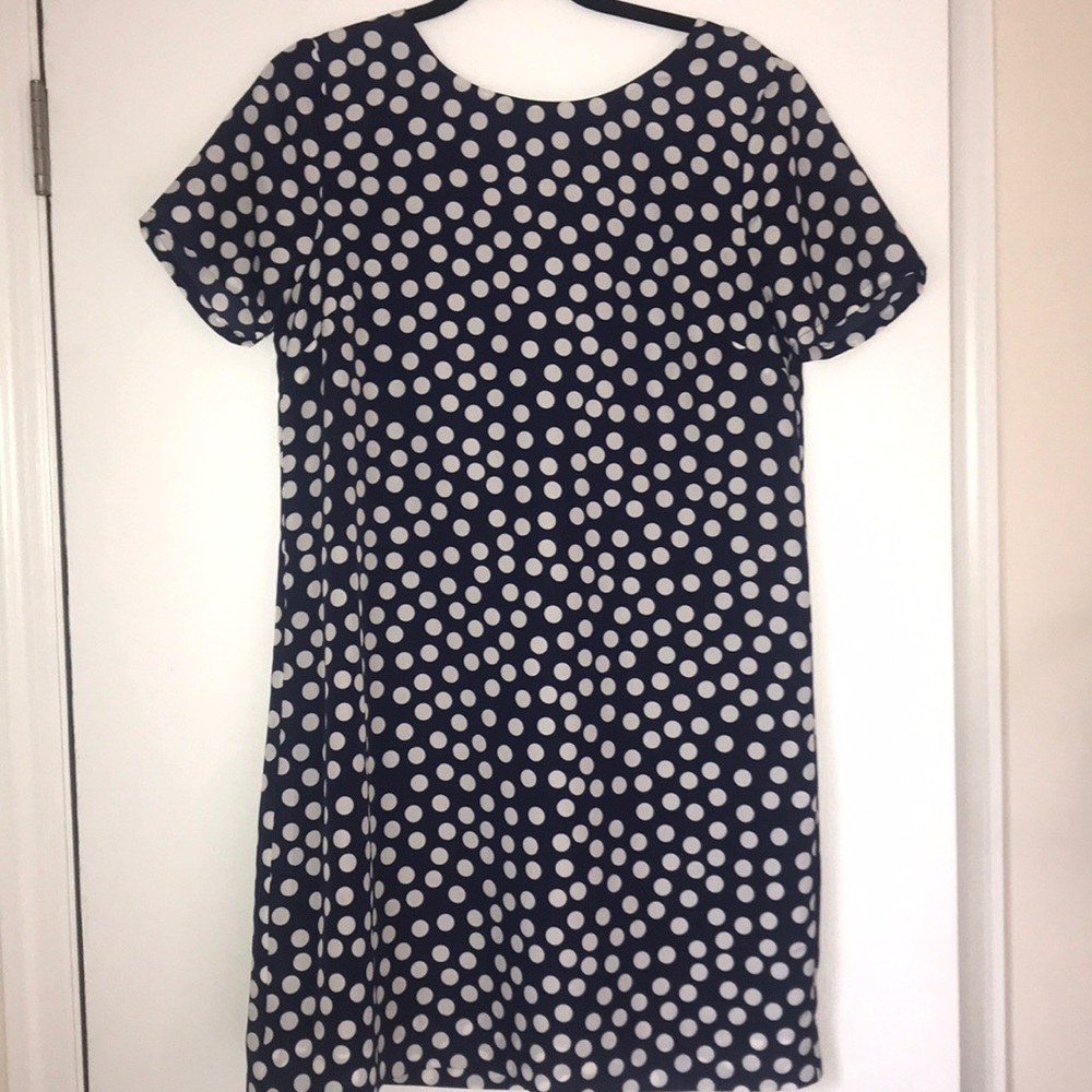 JCrew Polka Dot Dress